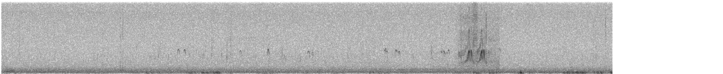 Kentish Plover - ML647181583