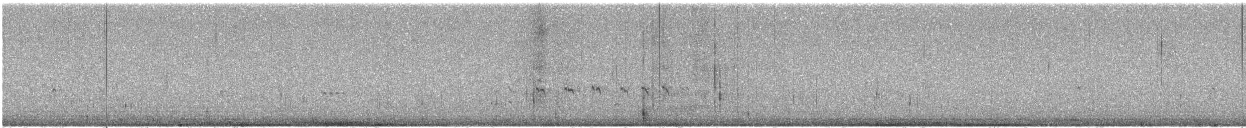 Greater Sand-Plover - ML647181703