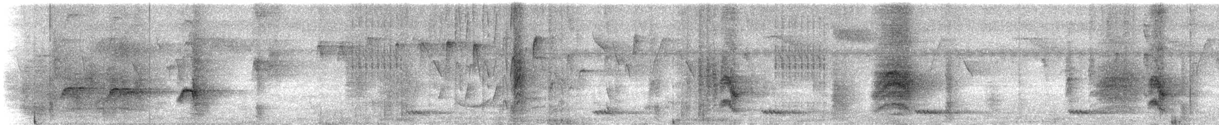 Malabar Starling - ML647181722