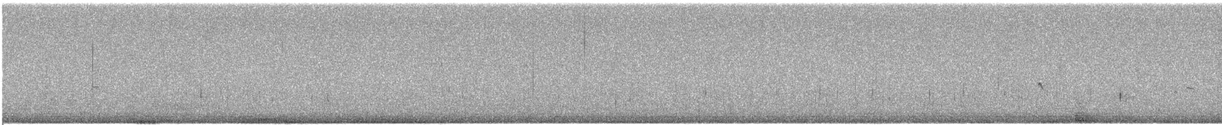 Kentish Plover - ML647181769