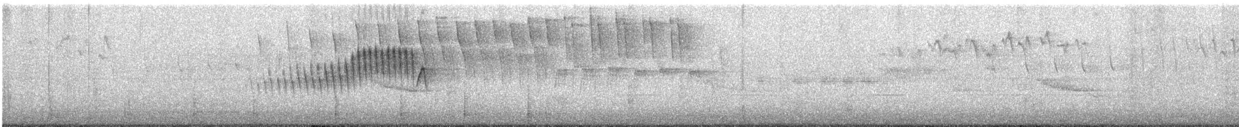 Northern Parula - ML647182126