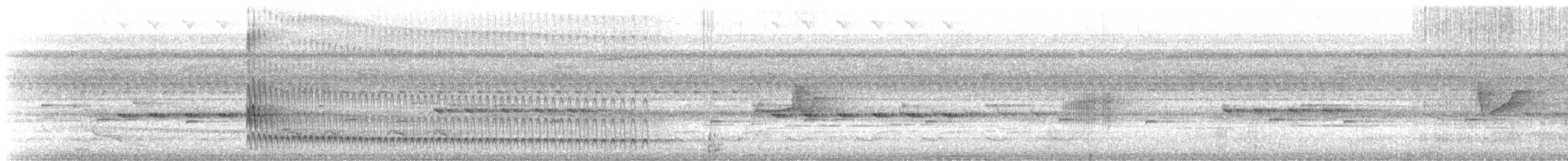 Zimmer's Woodcreeper - ML647182128