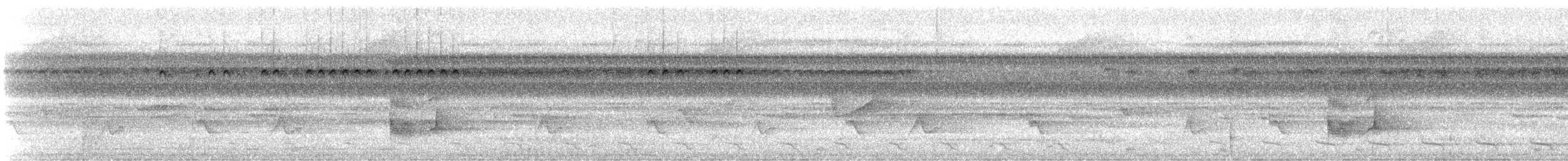 Dwarf Tyrant-Manakin - ML647182152