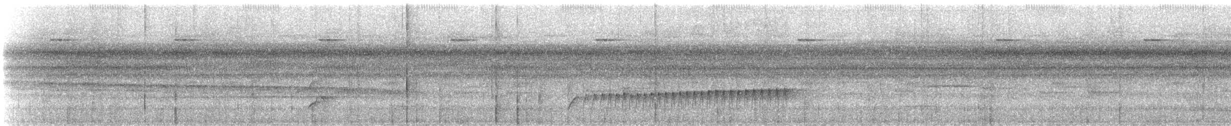 Jejenero Orejudo - ML647182701