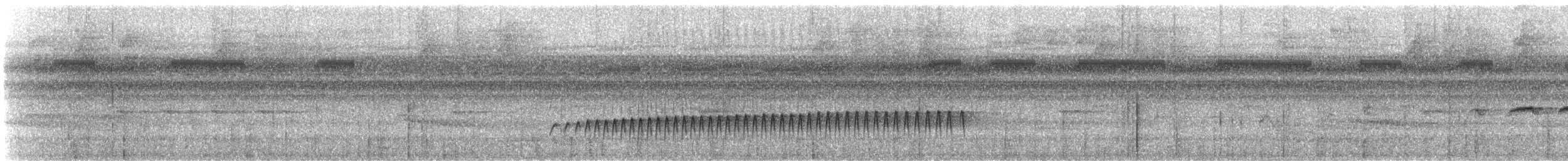 Jejenero Orejudo - ML647182702