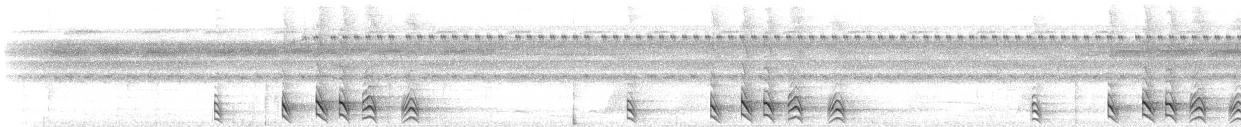 Barred Forest-Falcon - ML647182789