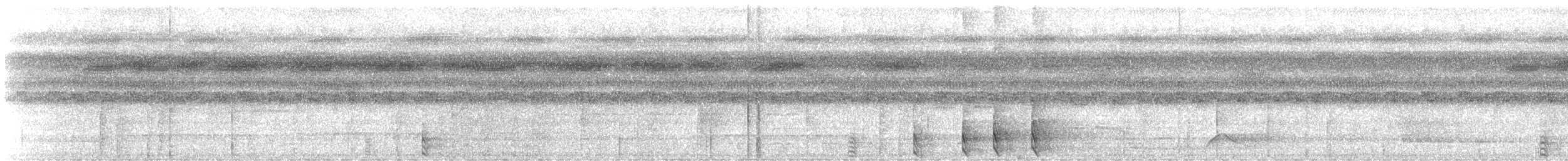 Barred Forest-Falcon - ML647182790