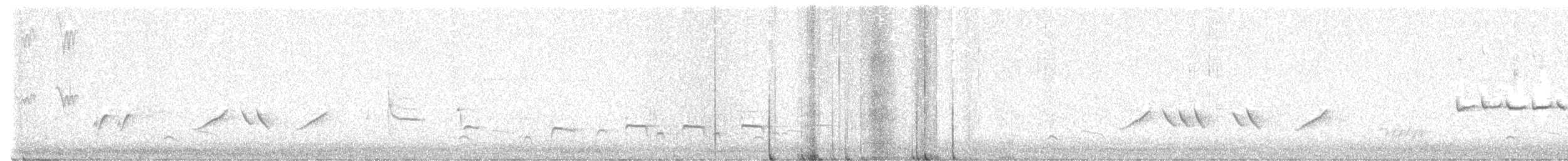 Bearded Scrub-Robin - ML647182981