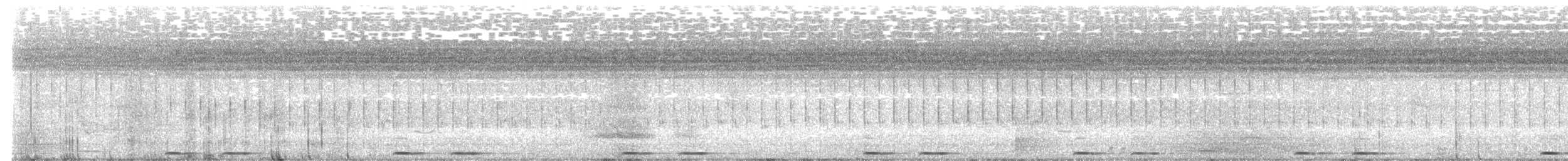 African Cuckoo - ML647183160