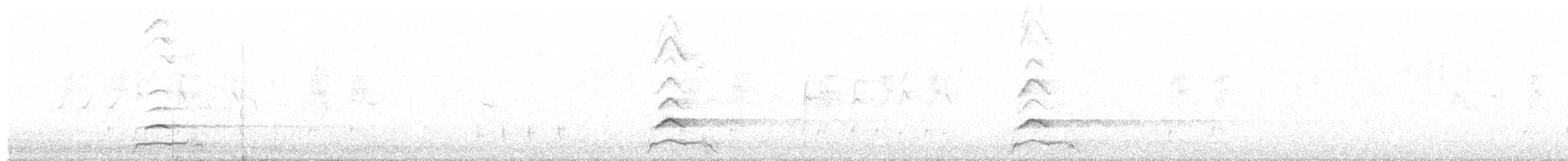 Civetta - ML647183295