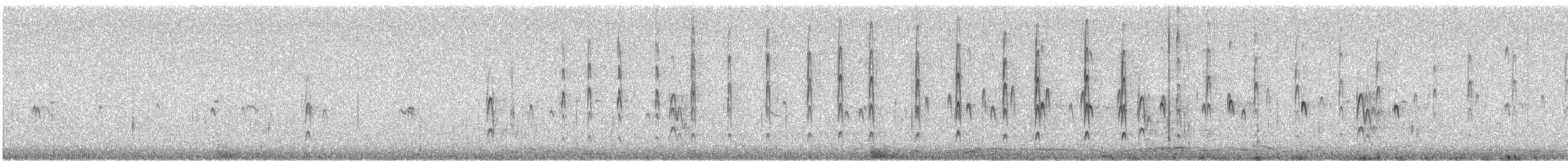 Corriere di Leschenault - ML647183332