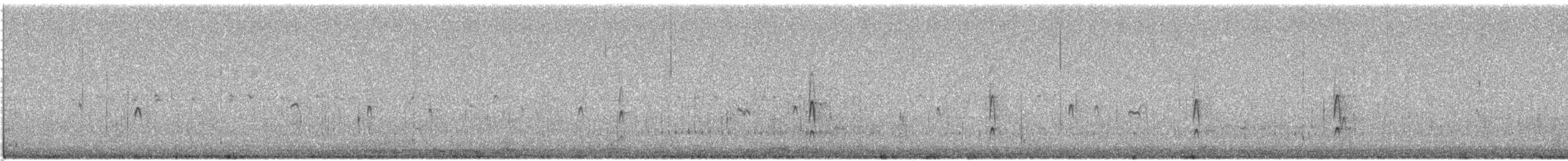 Corriere di Leschenault - ML647183334