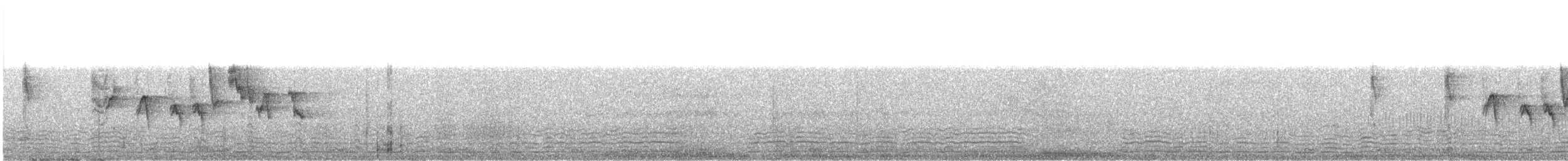 White-bellied Sunbird - ML647183429