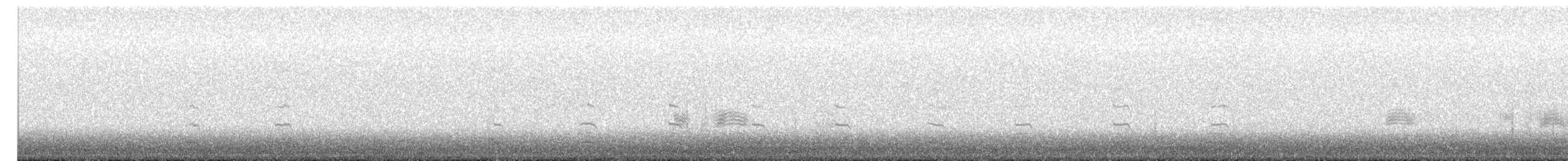 Orchetto marino - ML647183557