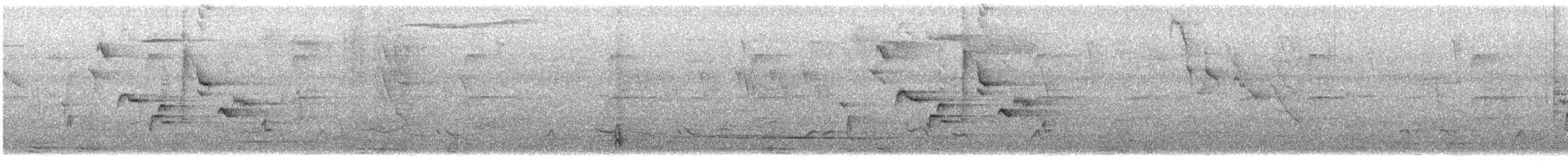 Black-billed Thrush - ML647183634