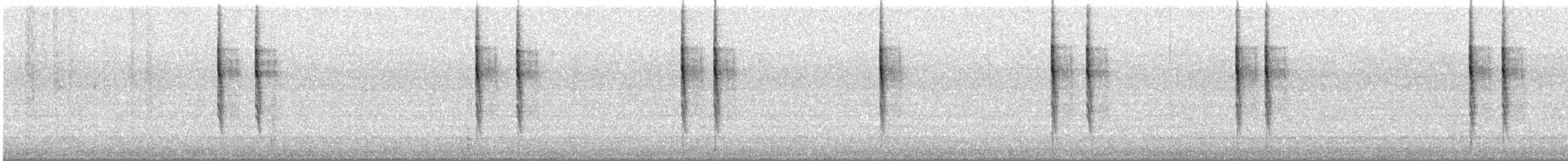 Pacific Wren - ML647183754