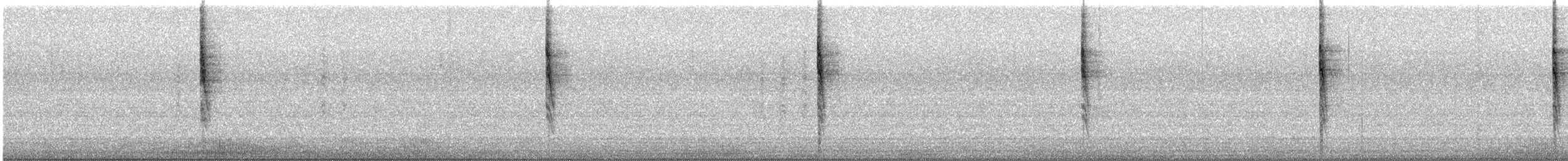 Pacific Wren - ML647183755