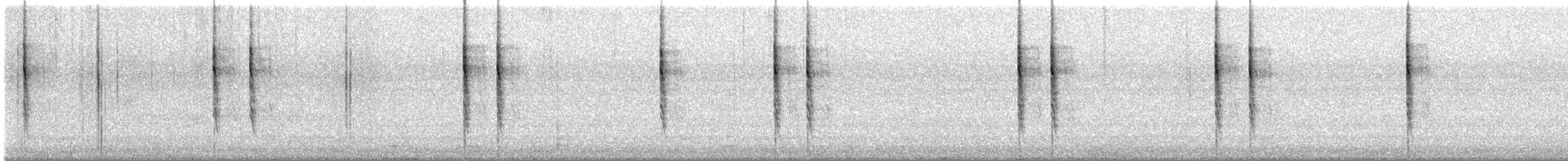 Pacific Wren - ML647183756