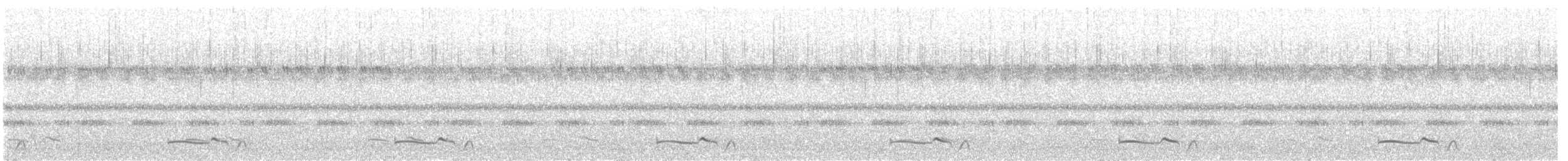 Common Poorwill - ML647183804
