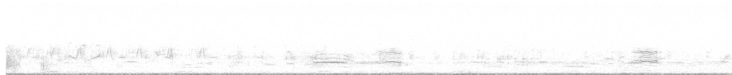 Large Gray Babbler - ML647183813