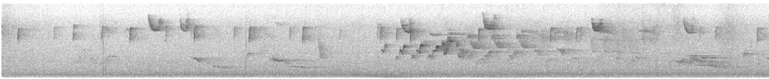 Magnolia Warbler - ML647184284