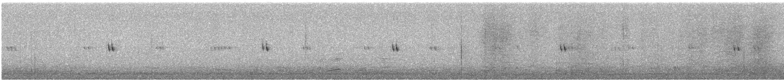 White Wagtail (White-faced) - ML647184709