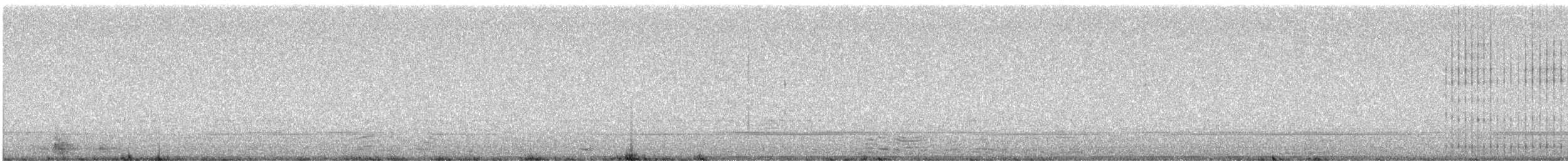 Bele txanoduna - ML647184738