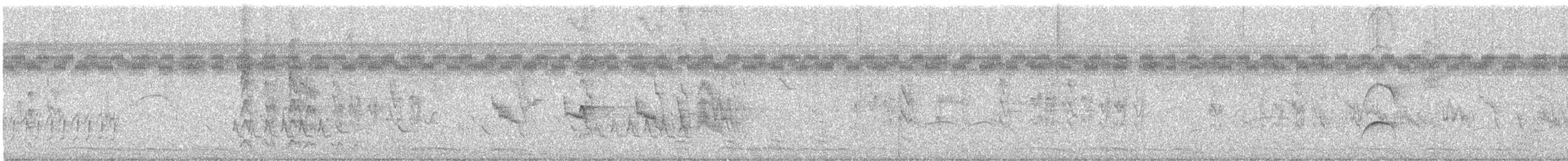 Salvadoran Flycatcher - ML647185108