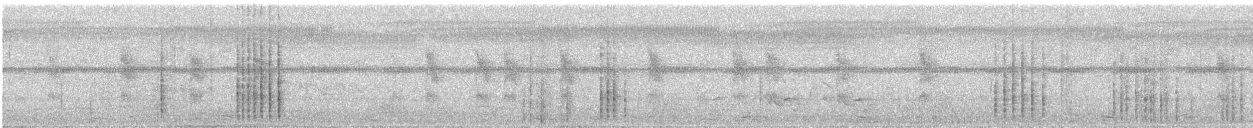 Mackinnon's Shrike - ML647185210