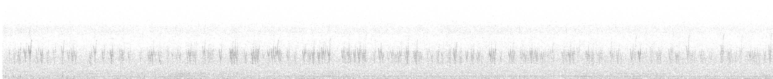 Red Crossbill - ML647185581