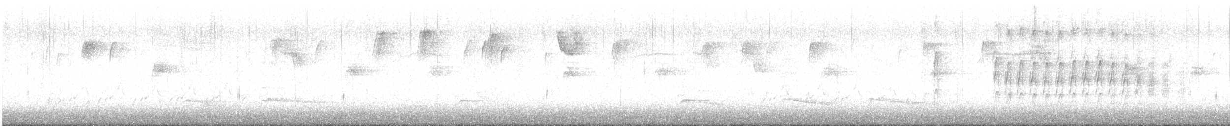 Ladder-backed Woodpecker - ML647185981