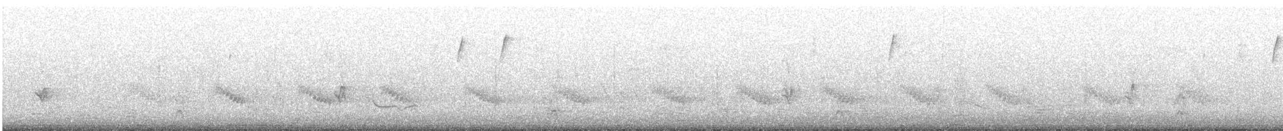 Carolina Wren - ML647187414