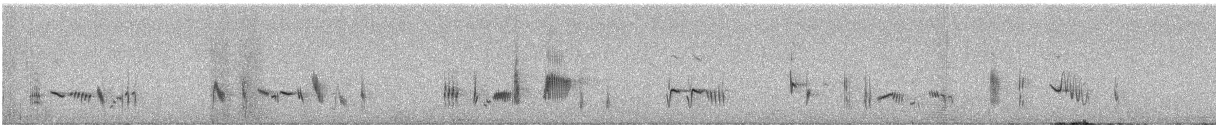 Mourning Wheatear - ML647187435