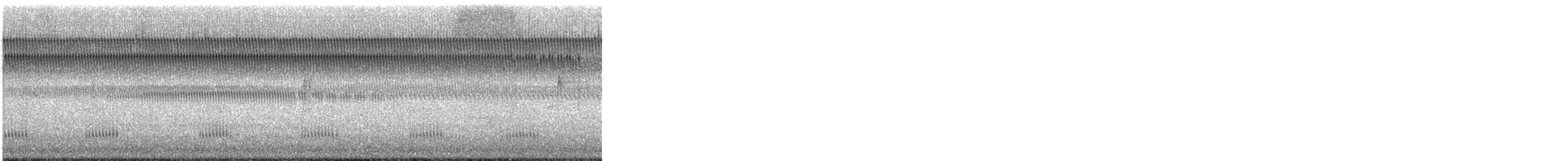 rødsidetovi - ML647187524