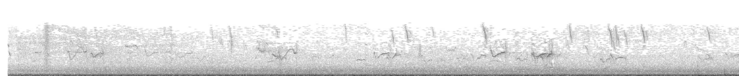 pygmésnipe - ML647187531