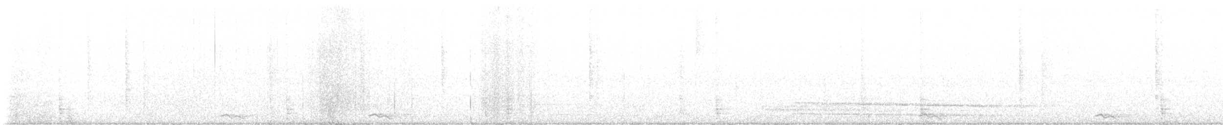 Western Screech-Owl - ML647187601