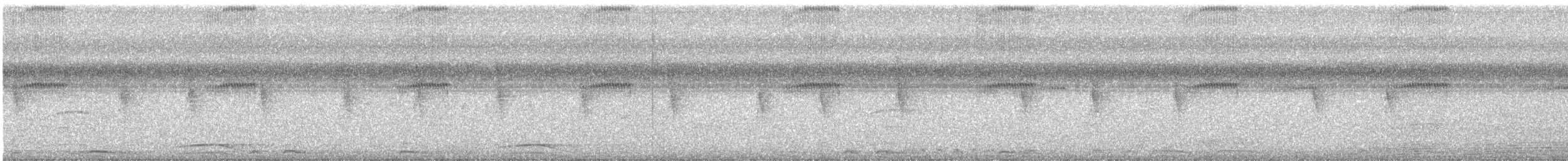 Collared Forest-Falcon - ML647187984