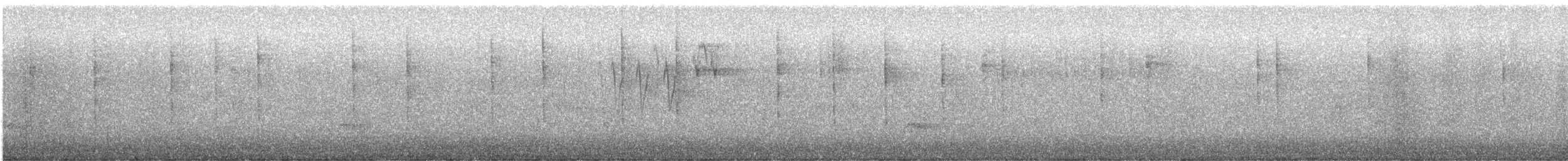 Pacific Wren - ML647188515