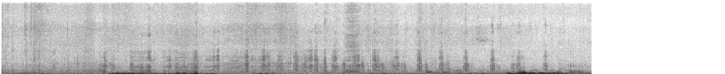 Snowy Sheathbill - ML647188899