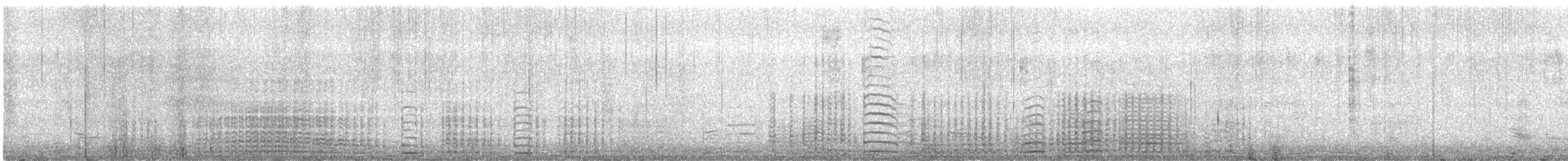 Gentoo Penguin - ML647188908