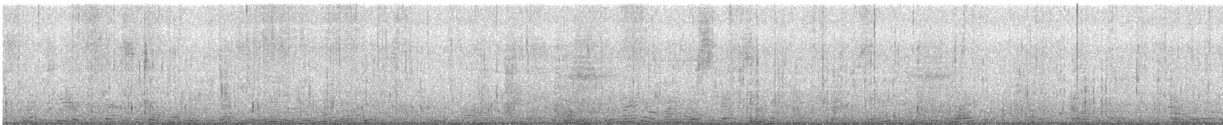 Gentoo Penguin - ML647188909