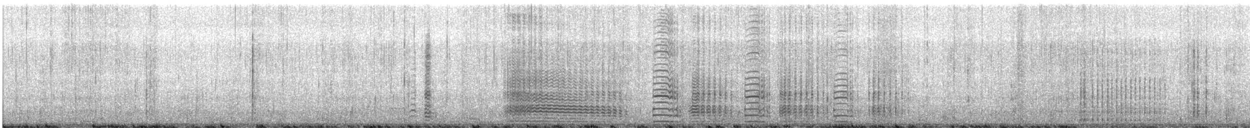 Gentoo Penguin - ML647188911