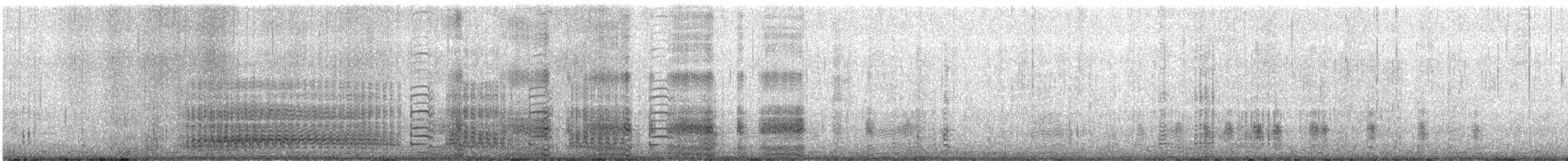 Snowy Sheathbill - ML647188915