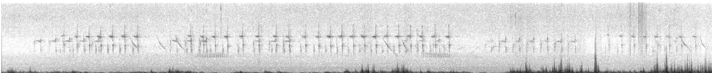 Black-chested Prinia - ML647190961