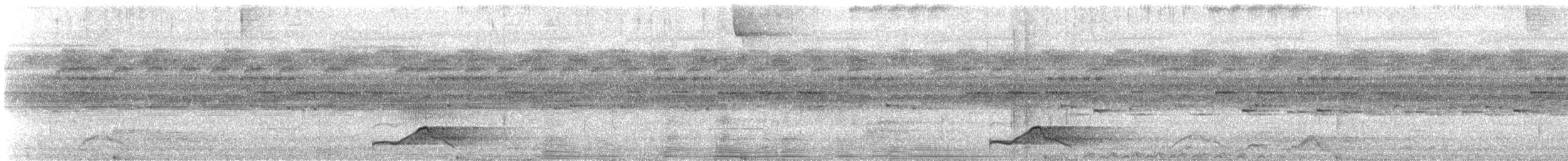 pauraquenattravn - ML647191921