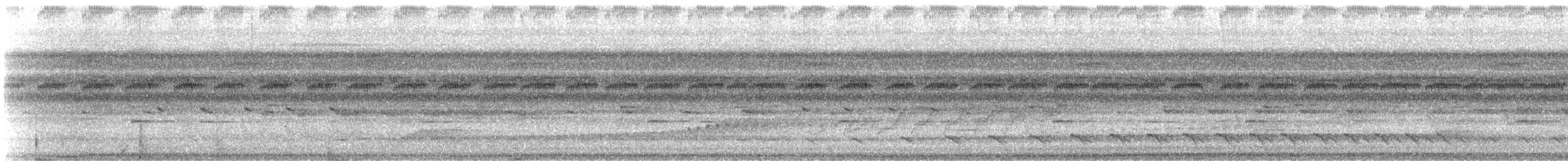 Striped Woodcreeper - ML647192014