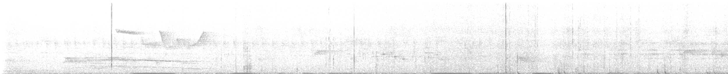 Brown Creeper (albescens/alticola) - ML647192027