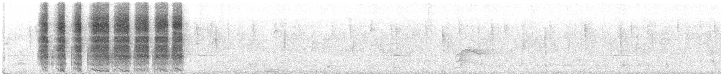 bird sp. - ML647192093