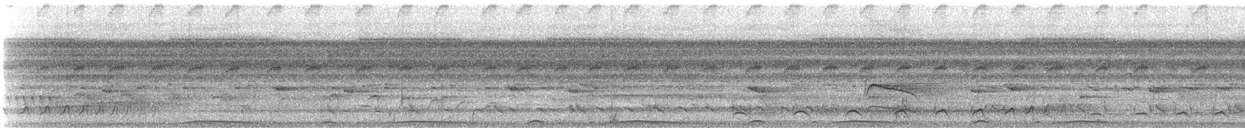 Pale-vented Pigeon - ML647192142