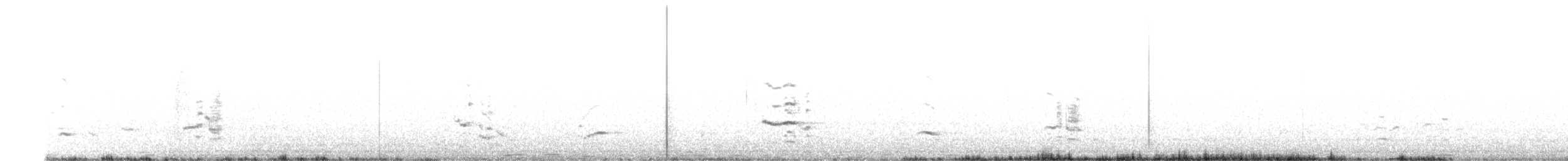 New Zealand Kaka - ML647192254